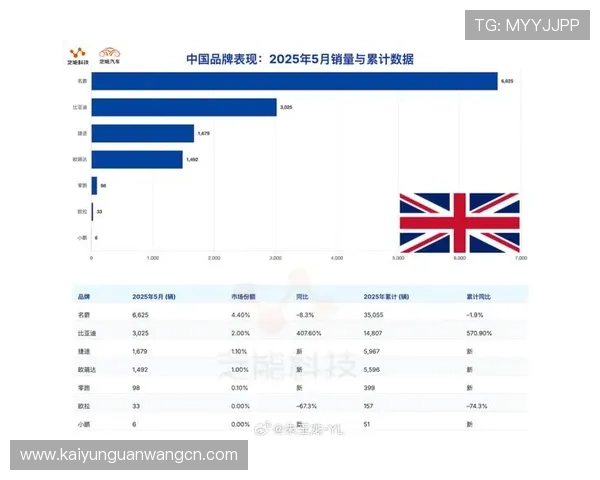 分析开云集团旗下品牌在不同地区的市场表现与消费者偏好变化